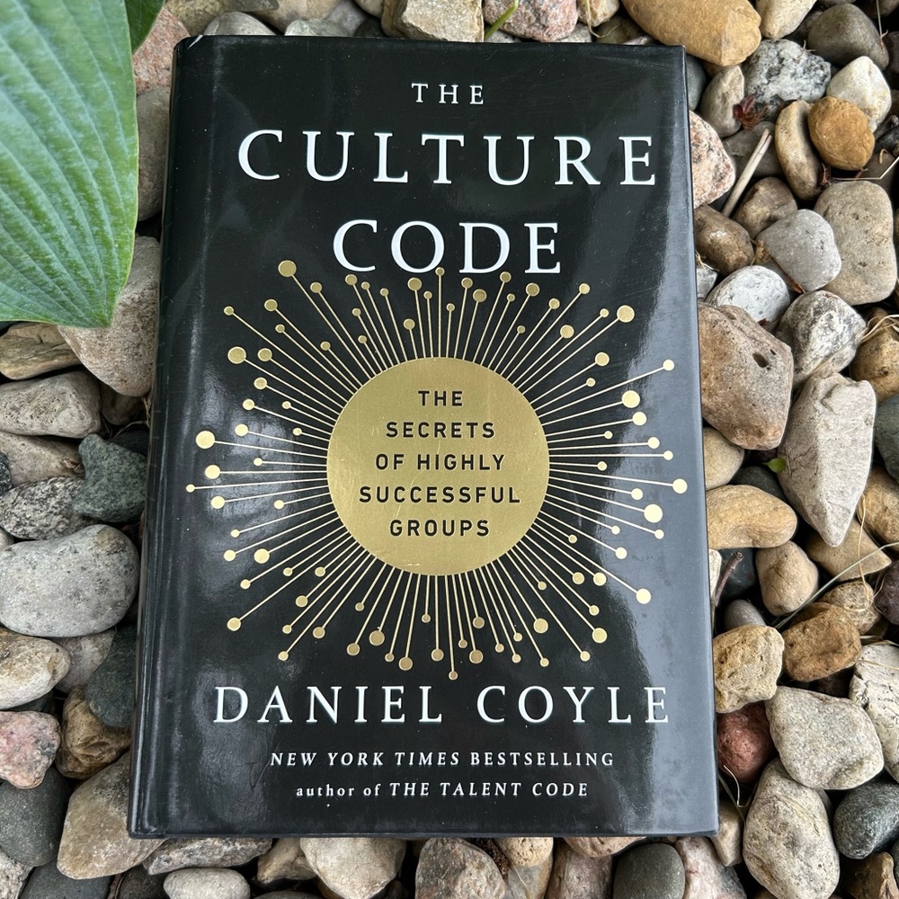 🩶5/$30 The Culture Code: The Secrets of Highly Successful Groups by Daniel Coyle